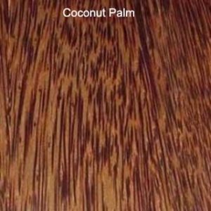 Coconut Palm